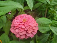 -贵阳市花溪国家城市湿地公园