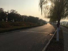 -洨河生态公园