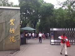-紫竹院公园冰场