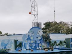 -深圳野生动物园