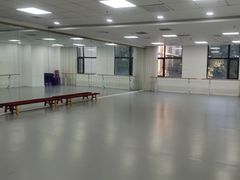 -西安小天鹅艺术团(金花路校区)