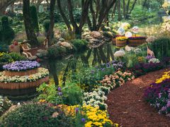 -上海共青森林公园