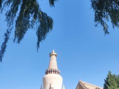 -张掖大佛寺景区