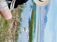 -赛里木湖风景名胜区