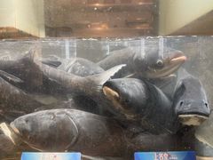 -上名堂·鱼头好吃(体育场路店)