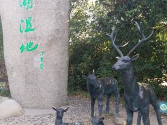 -溱湖国家湿地公园