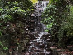 -十八棵（老龙井）御茶园(老龙井店)