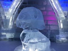 -哈尔滨热雪奇迹