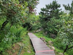 -北京十三陵国家森林公园蟒山景区