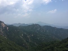 -大岭沟猕猴桃谷风景区
