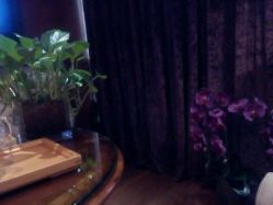 android_upload_pic-TIME SPA科技美肤机构