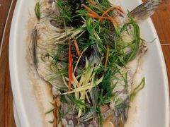 鲫鱼-美极鲜食坊(宝安南路店)