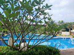 -西双版纳融创皇冠假日度假酒店