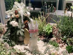 -春树下·树屋花房西餐厅(罍街AS1980店)