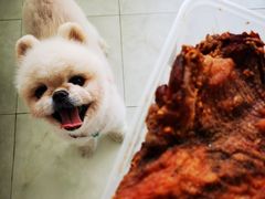 比脸还大的手枪腿-王二甩老木子鸡(江湾店)