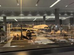 -上海浦东国际机场-T2航站楼