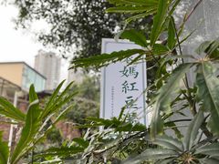 -袁妈红豆汤(重庆总店)