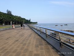 -野狸岛