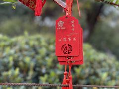 -无锡梅园公园