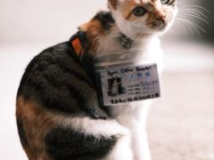 -Again Coffee Roaster(香蜜湖店)