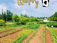 -前小桔亲子创意农场·草莓采摘·露营烧烤