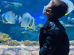 -华夏文旅海洋公园