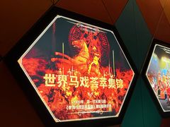 -广州长隆国际大马戏