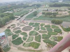-白洋淀景区