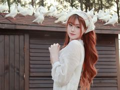 -瑶湖郊野森林公园