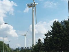 -长白岛森林公园