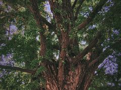 -北京石刻艺术博物馆(五塔寺)