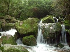 -陕西省红河谷森林公园