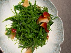 北极贝拌赤苍藤-虹潮荟·餐桌上的美食地理(太阳宫店)