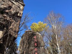 -汤旺河林海奇石景区