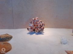 -广东省博物馆