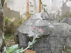 -美味之家·湖景农家乐(太湖东山店)