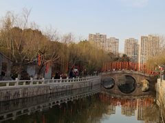 -水绘园
