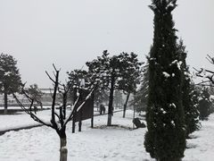 -洛阳古墓博物馆