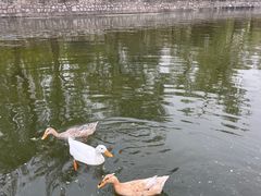 -迎泽公园