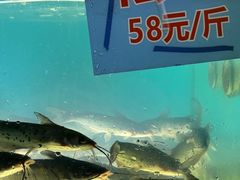 -米氏火鱼·泡椒鱼火锅(李子坝老店)