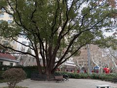 -徐家汇源景区-衡山公园