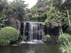 -荔枝公园(福田区)