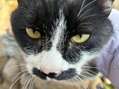 -陆家嘴世纪金融广场