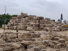 -太原动物园