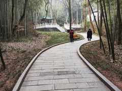 -青龙山国家森林公园