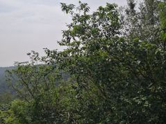-南京市江宁方山