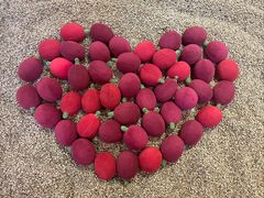 -M1咖啡奇幻工场(海田路店)