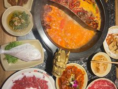 -蜀大侠火锅(总府路店)