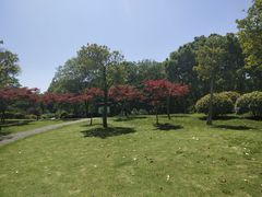-宜兴龙背山森林公园