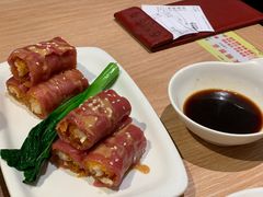 -南枝记